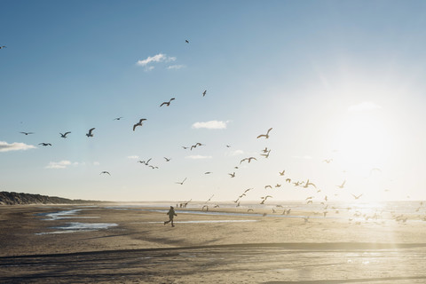 Denmark, Blokhus, boy chasing flock of seagulls on the beach stock photo