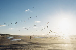 Denmark, Blokhus, boy chasing flock of seagulls on the beach - MJF02077