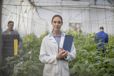 People working in greenhouse - ZEF10430