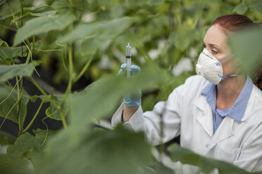 Female scientist in greenhouse with syringe - ZEF10432