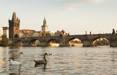 Tschechien, Prag, Blick auf die historische Stadt mit Altstädter Brückenturm und Karlsbrücke - FCF01082