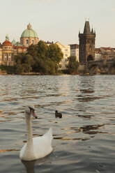 Tschechien, Prag, Blick auf die historische Stadt mit Altstädter Brückenturm und Karlsbrücke - FCF01083