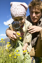 Mädchen mit Vater untersucht Wildblume mit Lupe - FSF00563