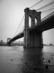 USA, New York City, Brooklyn Bridge - STCF00246