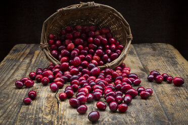 Preiselbeeren im Korb - LVF05365