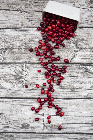 Preiselbeeren in Schale, lizenzfreies Stockfoto