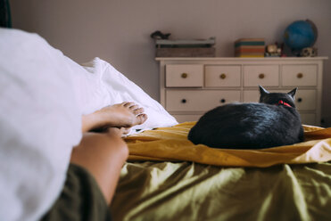 Cat sleeping on bed besides owner - GEMF01110