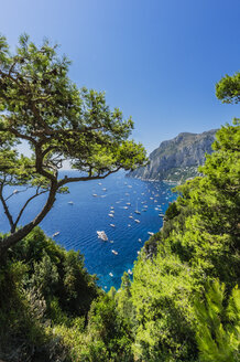 Italien, Capri, Blick auf die Bucht von Capri - THAF01805