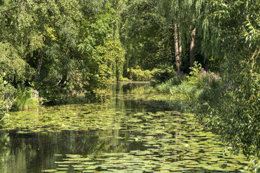 Germany, Moelln, spa park with lily pond - PCF00285