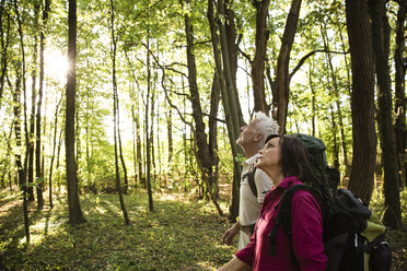 Senior couple hiking in a forest - ONF01062