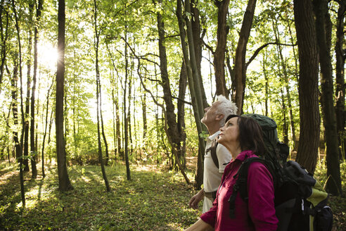 Älteres Paar beim Wandern in einem Wald - ONF01062