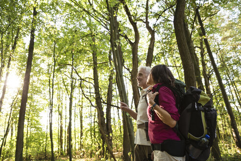 Älteres Paar beim Wandern in einem Wald - ONF01063