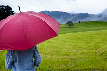 Deutschland, Allgäu, Rückenansicht eines Mädchens mit rosa Regenschirm auf einer Wiese an einem regnerischen Tag - HAMF00215