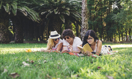 Freunde im Park, die ein Buch lesen und ein Mobiltelefon benutzen - DAPF00362
