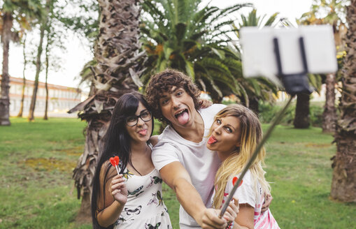 Verspielte Freunde im Park machen ein Selfie mit einem Selfie-Stick - DAPF00401
