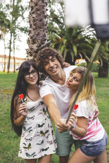 Glückliche Freunde im Park machen ein Selfie mit einem Selfie-Stick - DAPF00402