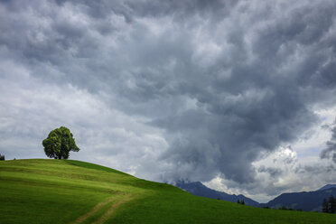 Deutschland, Bayern, Wittelsbacher Höh - HAMF00216