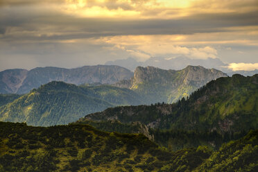 Germany, Bavaria, Upper Bavaria, Chiemgau, Hochfelln - HAMF00218