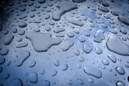 Water drops - HAMF00219