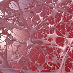 Rosa Struktur, 3D-Rendering - UWF01021