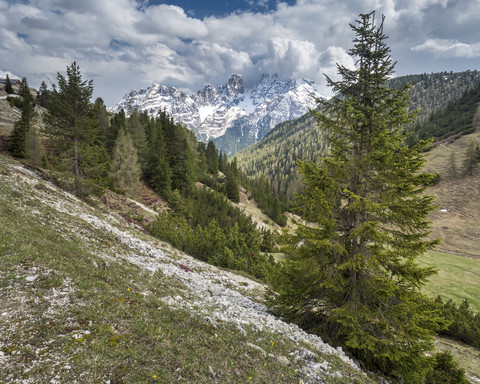 Italien, Provinz Belluno, Naturpark Drei Zinnen, Sextner Dolomiten, Plätzwiese, lizenzfreies Stockfoto