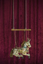 Alte Marionette, Pferd - ASF06041