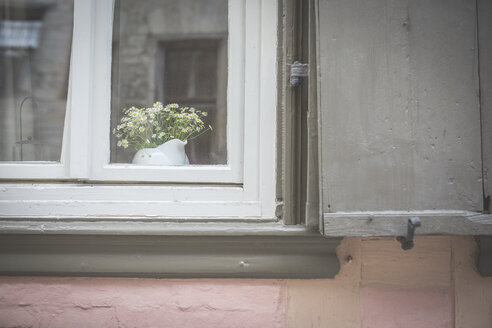 Blumenkübel hinter der Fensterscheibe eines Wohnhauses - ASCF00665