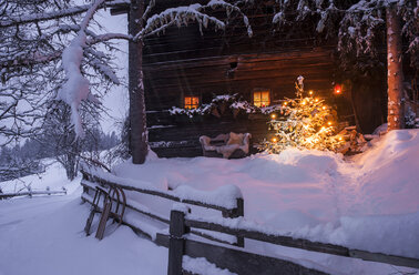 Holzhaus mit Weihnachtsbaum in Winterlandschaft - HHF05423