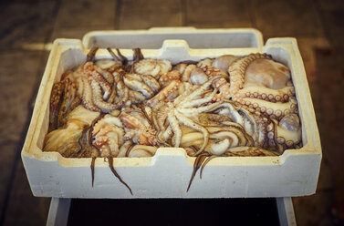 Frischer Oktopus in einer Kiste auf dem Fischmarkt - DIKF00222