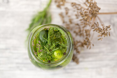 Essiggurken im Glas mit Senfkörnern, Fenchelsamen und Dill - SARF02992