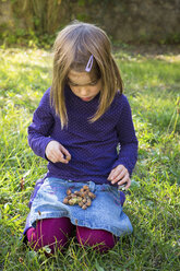 Little girl collecting hazelnuts in her lap - LVF05440