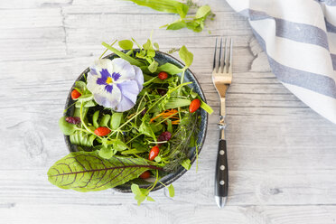 Schüssel mit Wildkräutersalat mit essbaren Blüten, Preiselbeeren und Wolfsbeeren - SARF03003