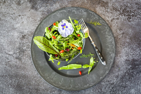 Schüssel mit Wildkräutersalat mit essbaren Blüten, Preiselbeeren und Wolfsbeeren auf dem Essteller - SARF03004