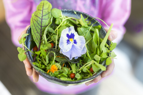 Mädchenhände halten Schüssel mit Wildkräutersalat mit essbaren Blüten, Preiselbeeren und Wolfsbeeren, lizenzfreies Stockfoto