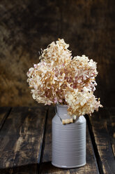 Dried hydrangea bouquet in milk churn as vase - CSF27710