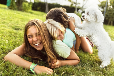 Drei Mädchen haben Spaß mit einem Welpen auf einer Wiese, lizenzfreies Stockfoto