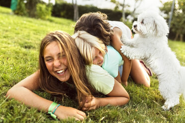 Three girls having fun with a puppy on a meadow - MGOF02537