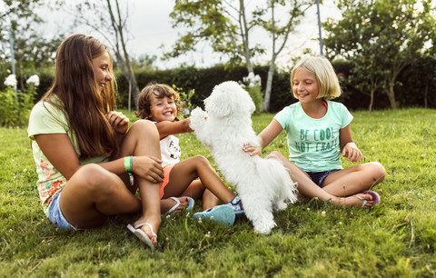 Three girls having fun with a puppy on a meadow stock photo