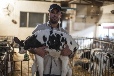 Farmer in stable holding calf - ZEF10806