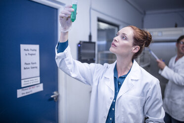 Frau hält Reagenzglas im Labor - ZEF10820