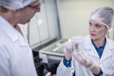 Scientists working in lab wearing protective clothing - ZEF10837