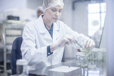 Frau in Schutzkleidung bei der Arbeit im Labor - ZEF10840