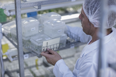 Wissenschaftler, der im Labor arbeitet und Schutzkleidung trägt, lizenzfreies Stockfoto