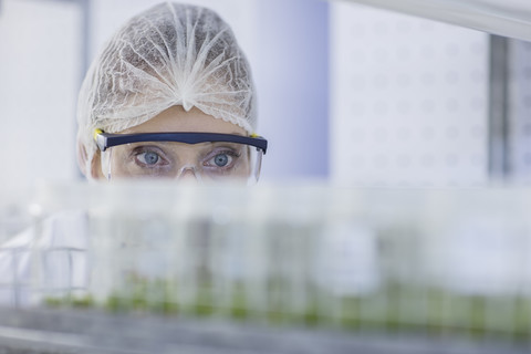 Frau mit Schutzkleidung im Labor bei der Untersuchung von Pflanzenproben, lizenzfreies Stockfoto