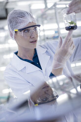 Frau in Labor mit Schutzkleidung bei der Untersuchung einer Pflanzenprobe - ZEF10859