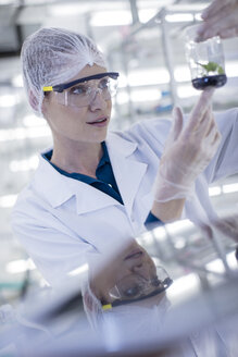 Woman in lab wearing protective clothing looking at plant sample - ZEF10859