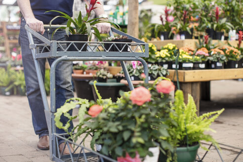 Mann schiebt einen Wagen voller Pflanzen in einem Gartencenter - ZEF10969