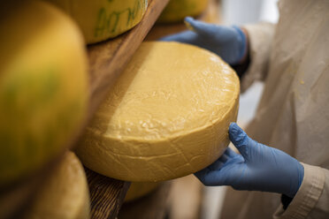 Käsereiarbeiter, der die Reifung des Käses kontrolliert - ZEF11025