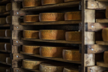 https://us.images.westend61.de/0000751899j/cheese-loafs-maturing-on-shelves-in-cheese-factory-ZEF11028.jpg