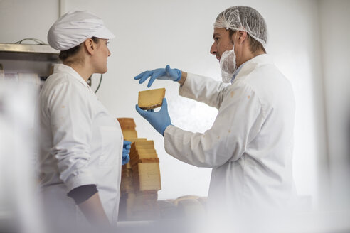 Arbeiter in einer Käsefabrik prüfen die Qualität des Käses - ZEF11040